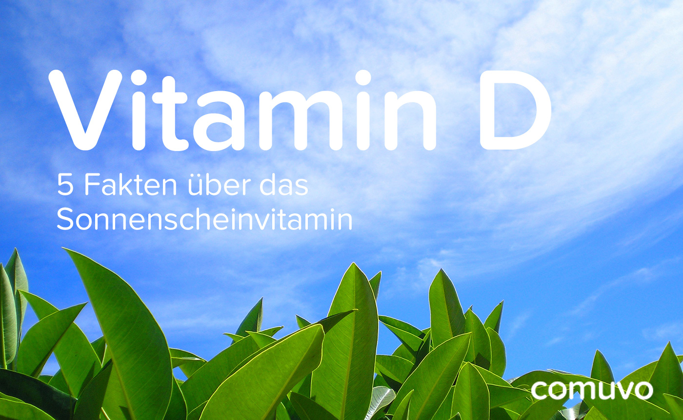 Vitamin D – 5 Fakten über das Sonnenscheinvitamin